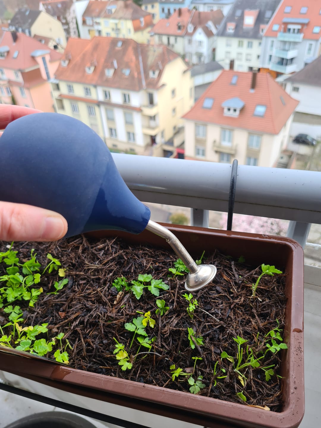 Customer photo review of Ballbrause