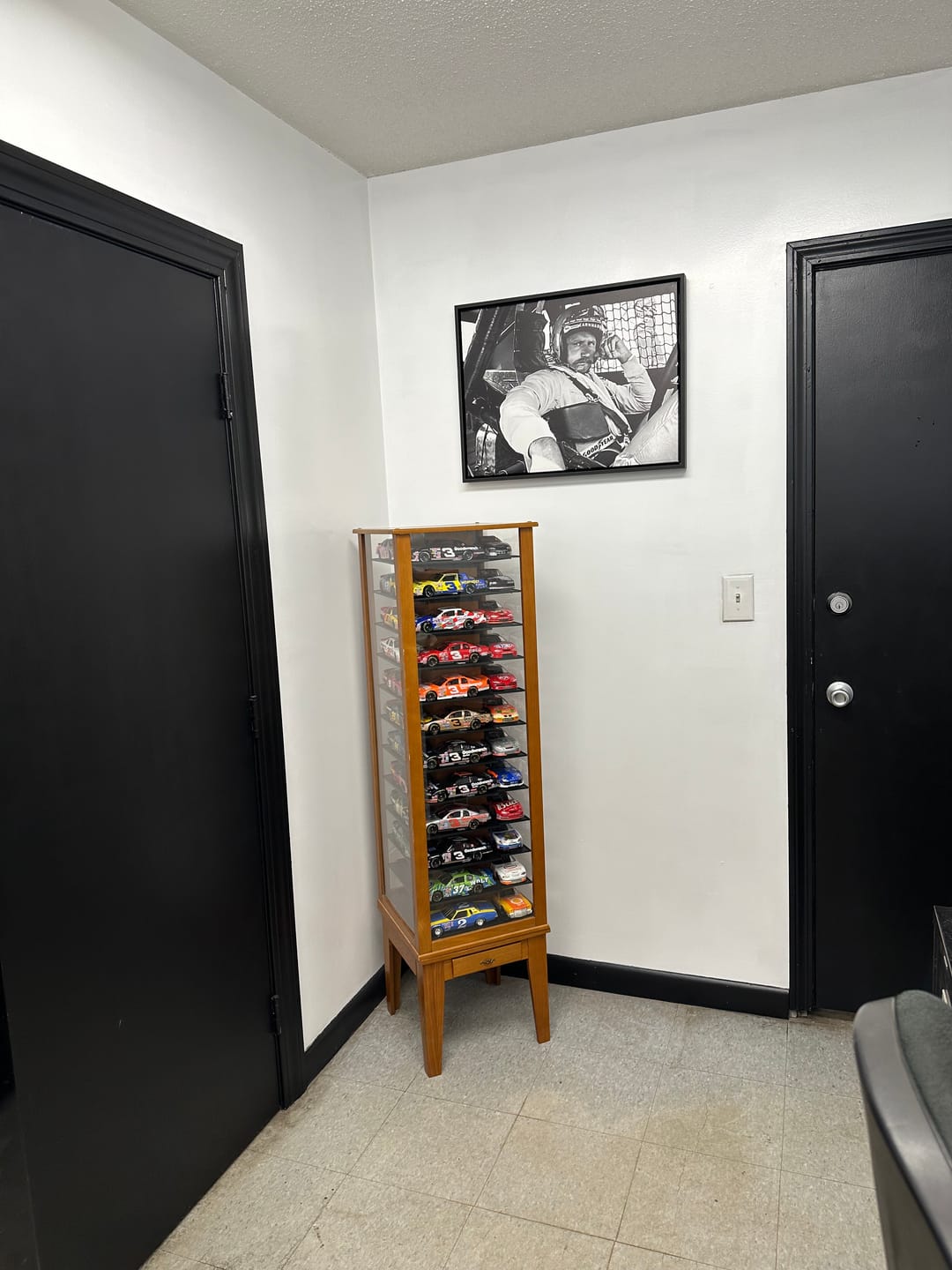 Customer photo review of Dale Earnhardt Wall Art
