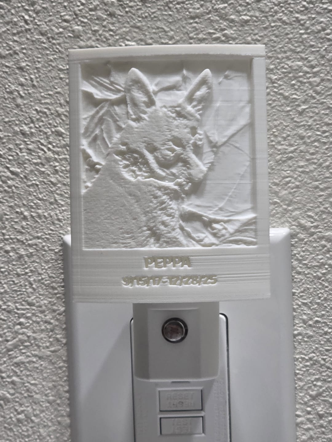 Customer photo review of Memory Frame™ Personalized Night Light