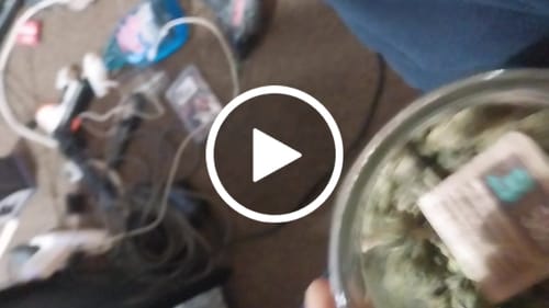 Customer video review of Bubba OG - 28 Grams - Indica