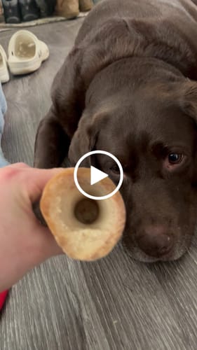 Customer video review of Smoked Beef Marrow Bone