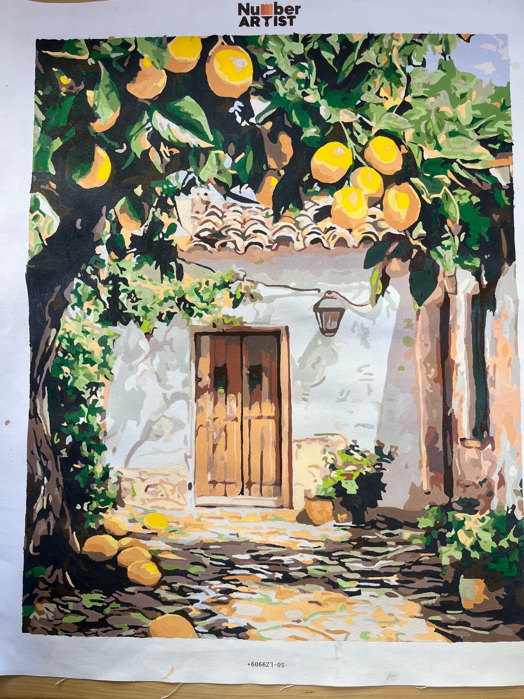 Customer photo review of Lemon Yard