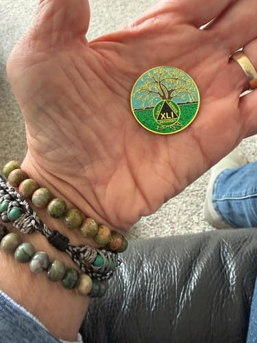 Customer holding the colorful Tree of Life AA recovery medallion in their palm, showing the 'XLI' year design.