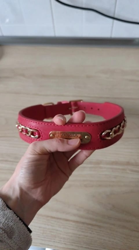 Customer photo review of Custom Leather Dog Collar with Personalized ID Tag Nameplate