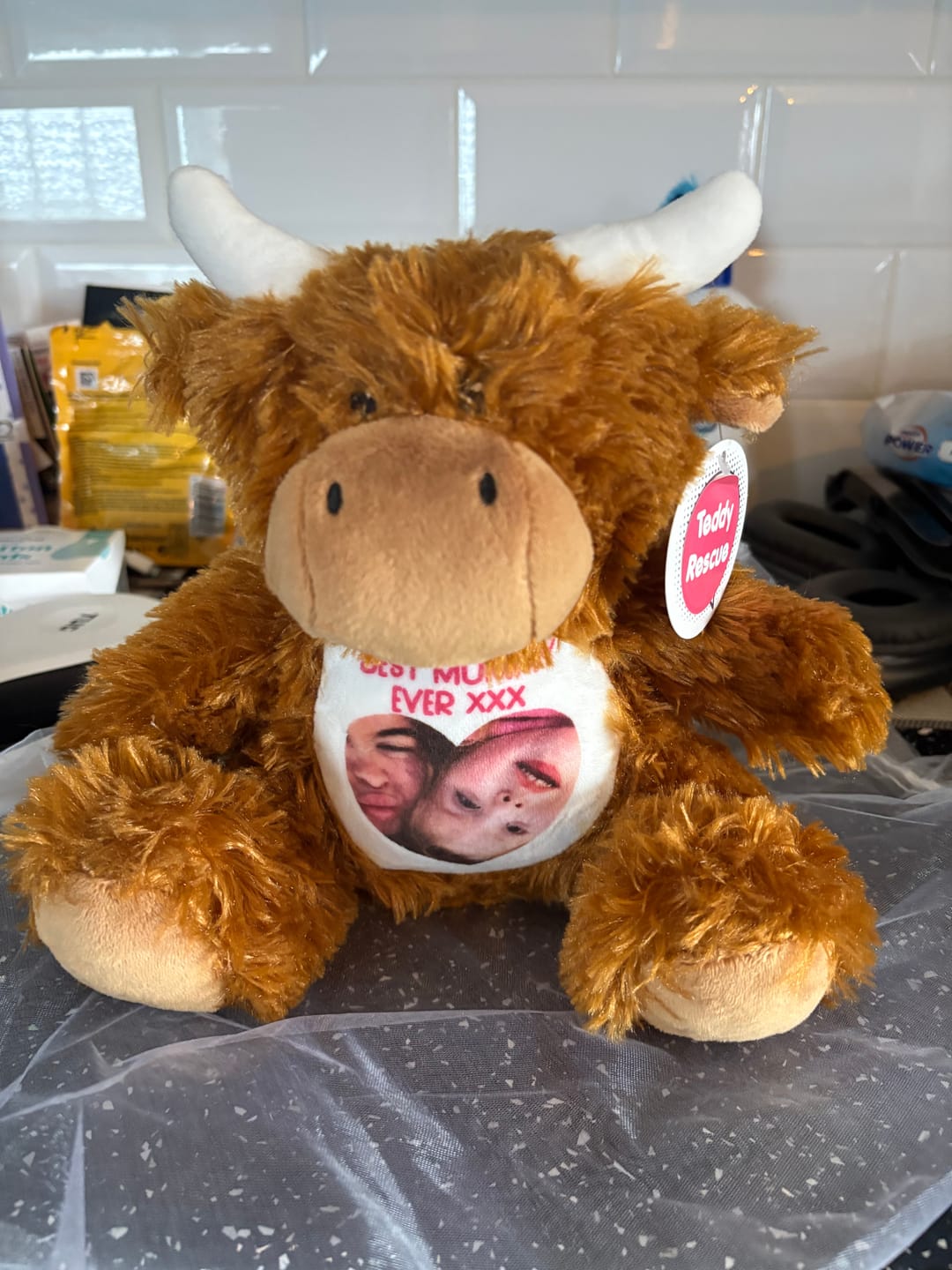 Customer photo review of Design a Personalised Highland Cow Teddy – Add Your Photo, Name or Message