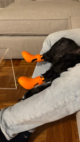 Customer photo review of WagWellies® by wagwear