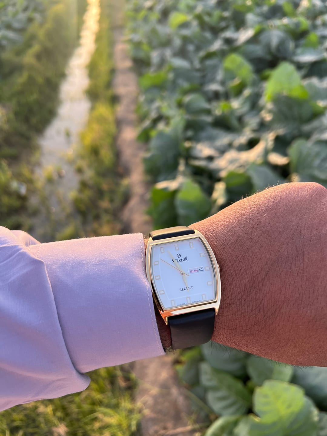 Customer photo review of Regent