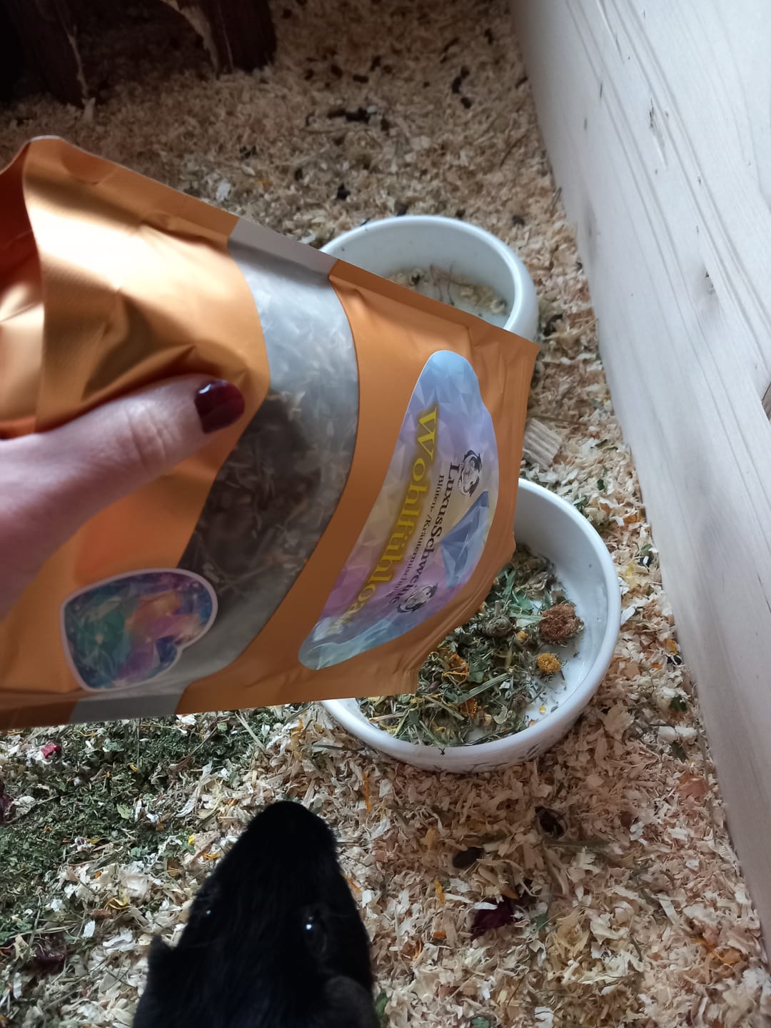 Customer photo review of 🌸 Wohlfühloase – Blüten- & Kräutermix - Balance für Meerschweinchen