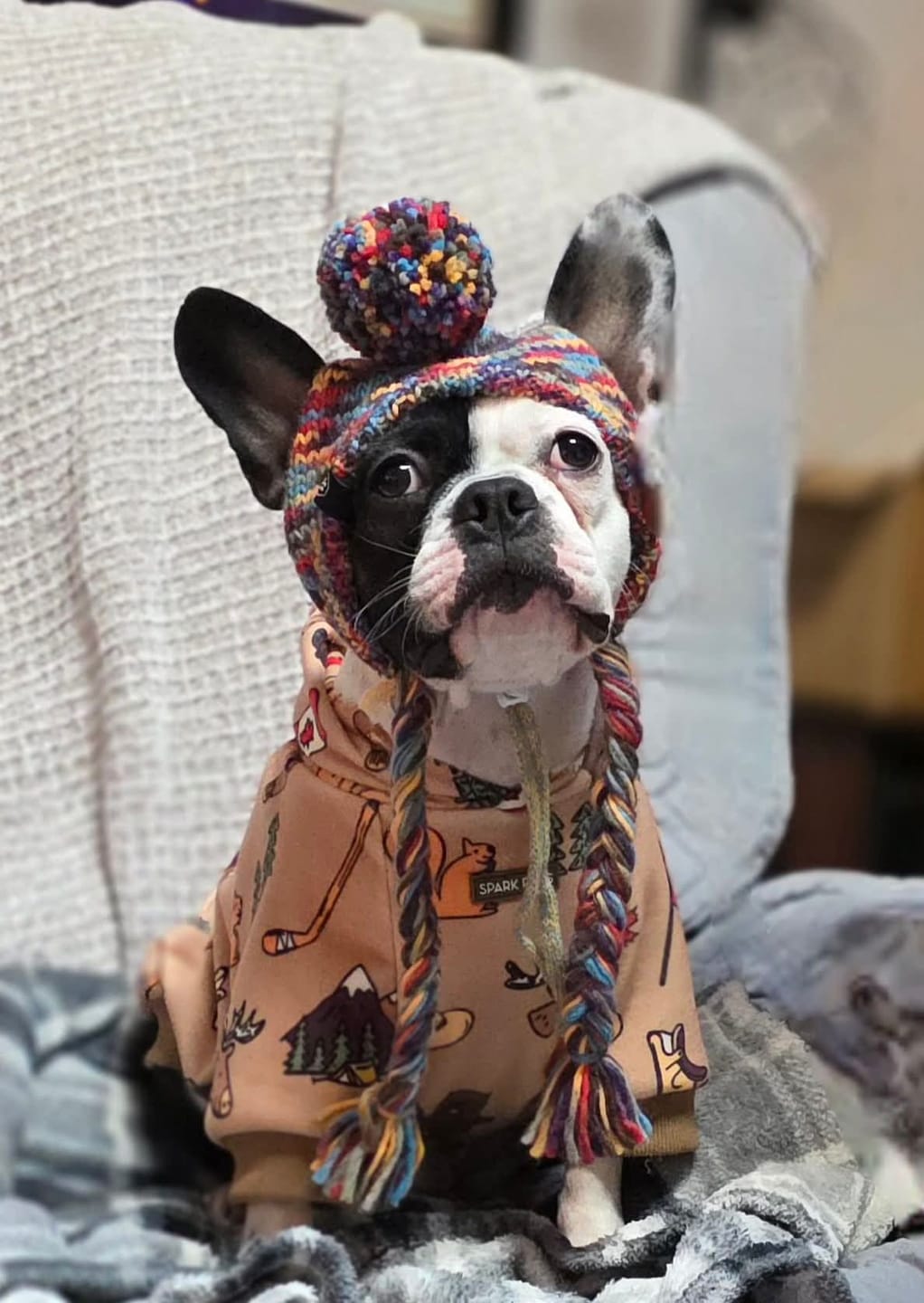 Customer photo review of The Canada Dog Hoodie