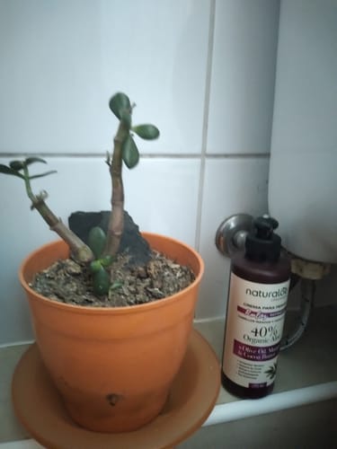 Customer photo review of Crema de Peinar Rulos Definidos 250ml