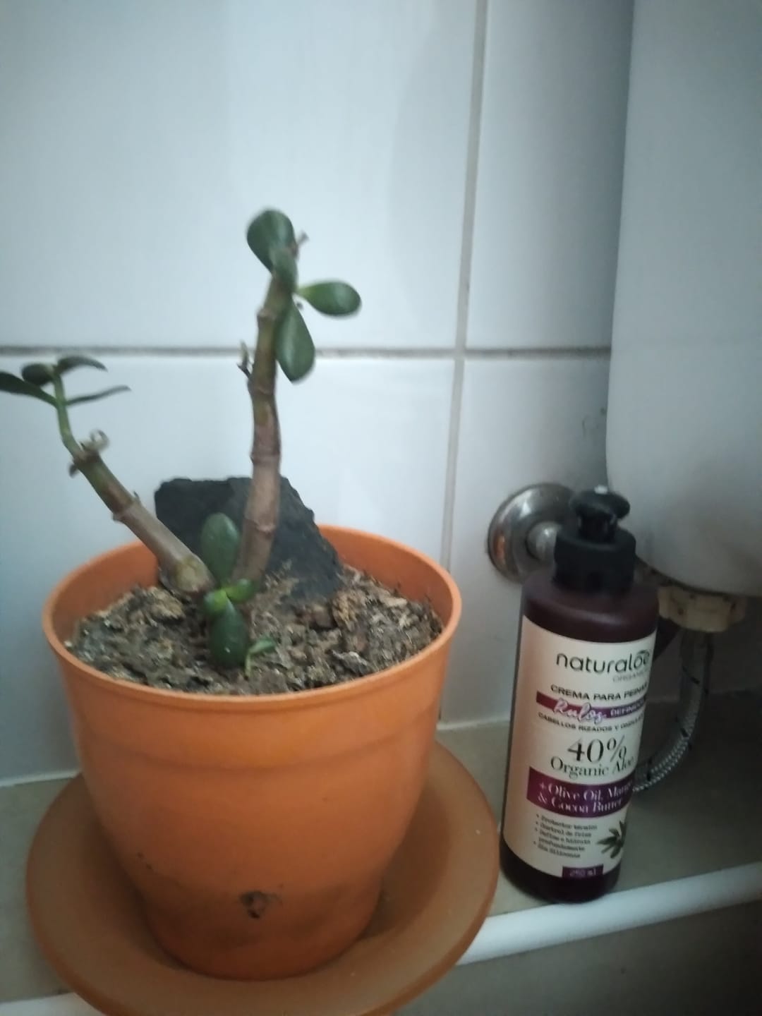 Customer photo review of Crema de Peinar Rulos Definidos 250ml