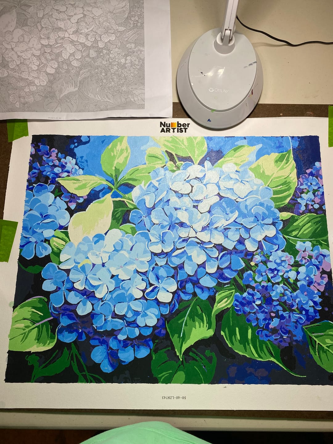 Customer photo review of Blue Hydrangea