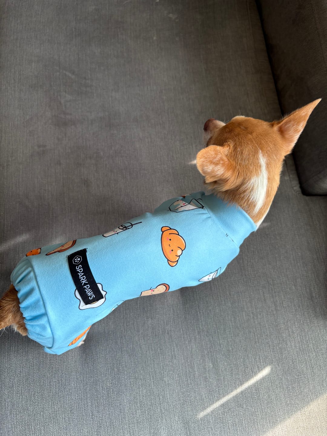 Customer photo review of Dog Pajama - Breakfast Blue