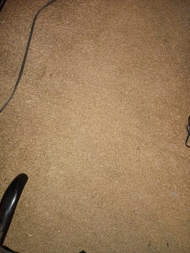 Customer photo review of Sugar Shake - 1oz