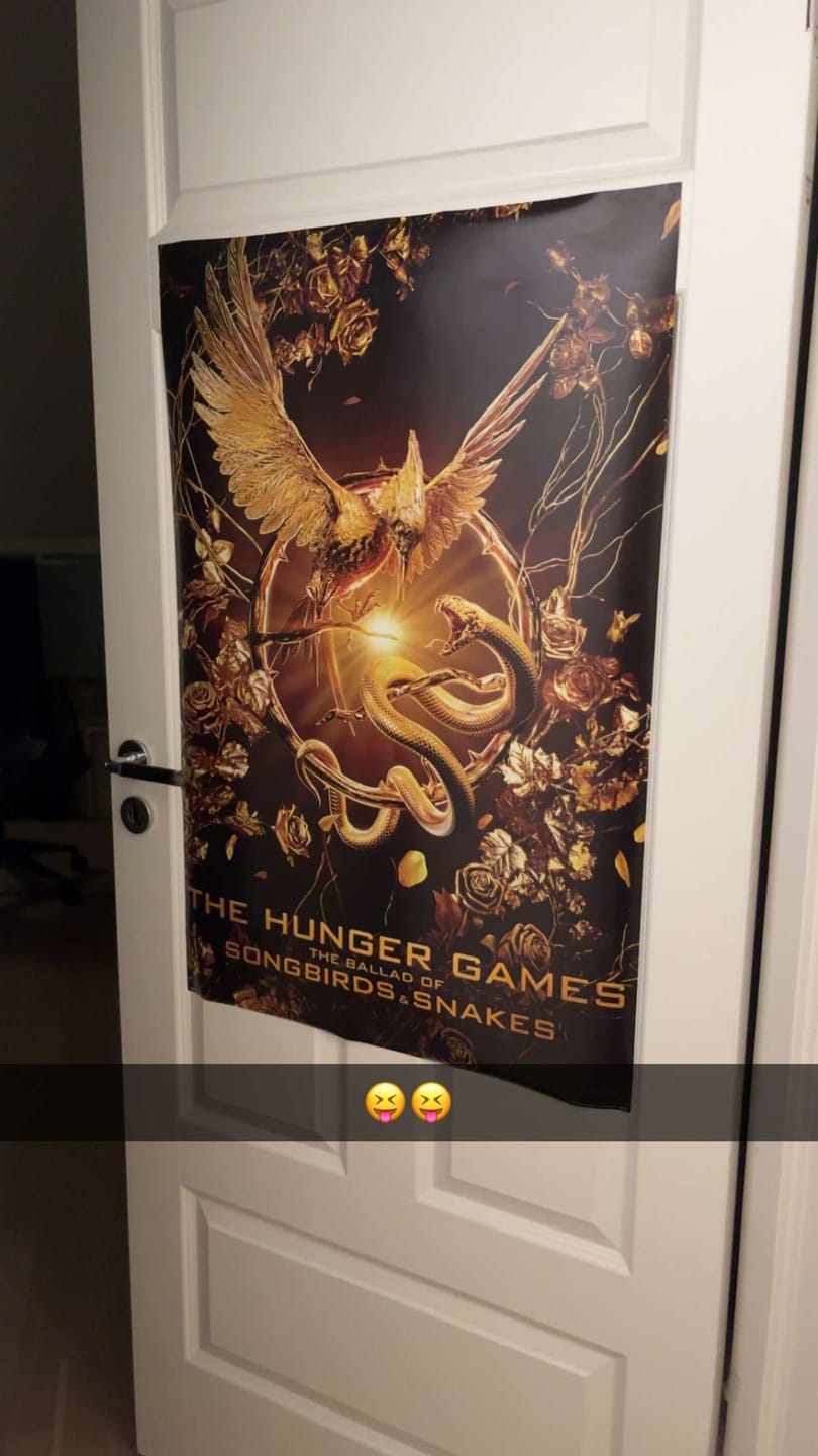Customer photo review of The Hunger Games Plakat Songbirds and Snakes