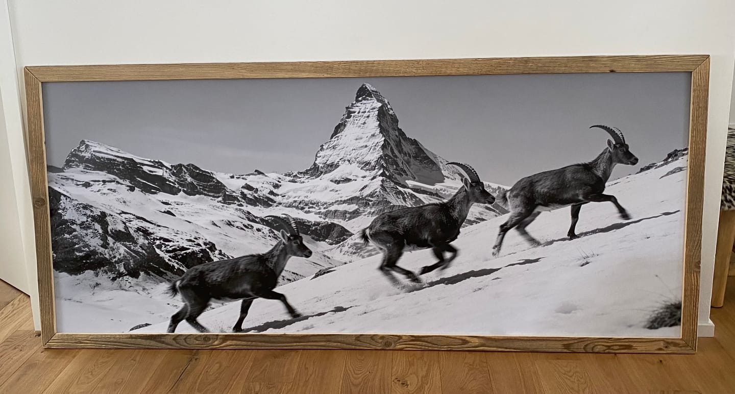 Customer photo review of Ibex and the Matterhorn – Alu-Dibond wall art