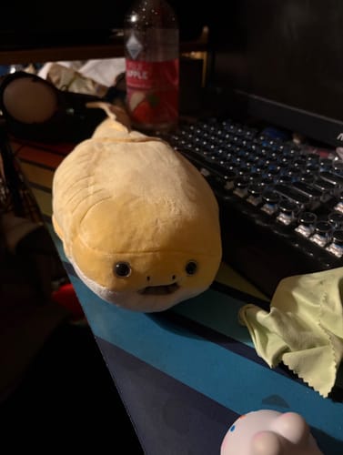 Customer photo review of Sacabambaspis Prehistoric Fish Soft Stuffed Plush Toy