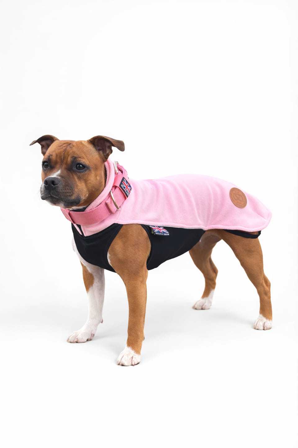 Customer photo review of Staffordshire Bull Terrier 1935® Fleece Coat - Pink