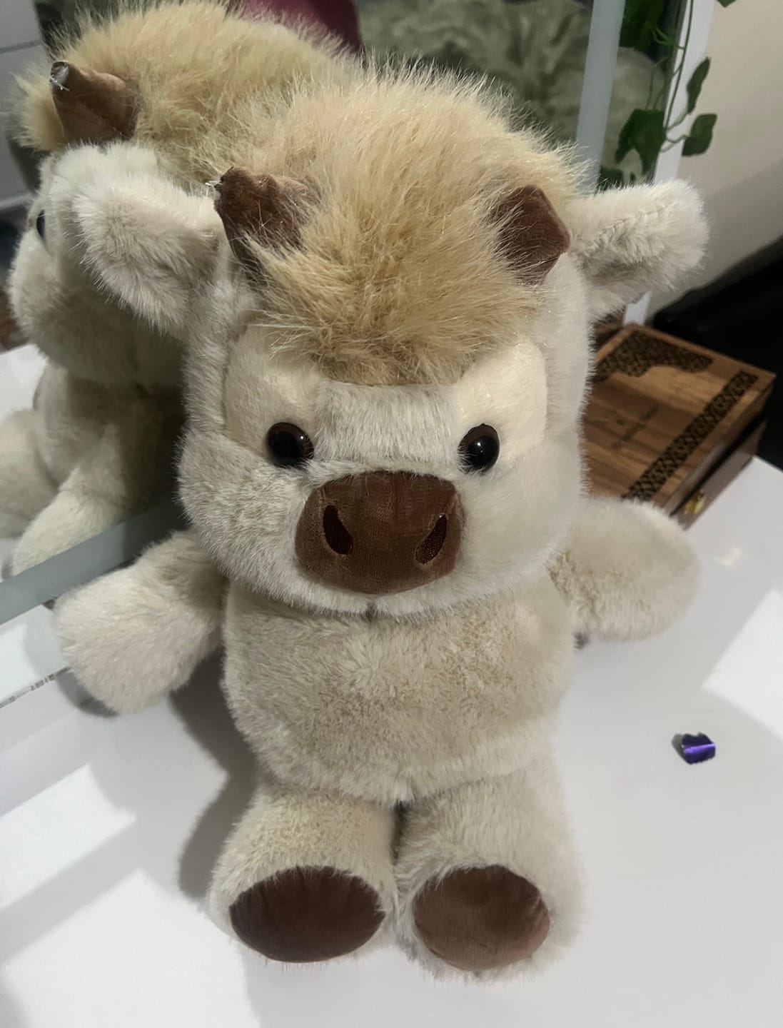 Customer photo review of Snuggy™ Running Plushie