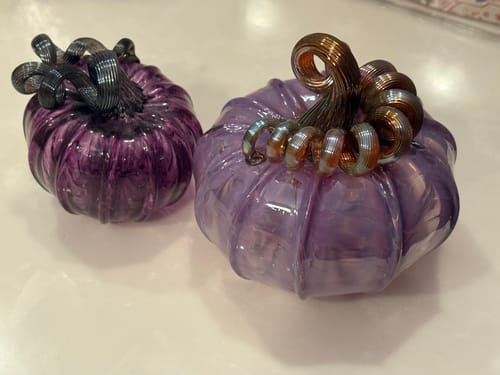Customer photo review of Wild Wisteria Squat