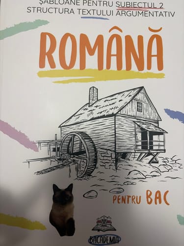 Recenzie cu fotografie de la un client despre Carte Română Bacalaureat Bacademia (temă și viziune, caracterizare, relație) - Ediția II