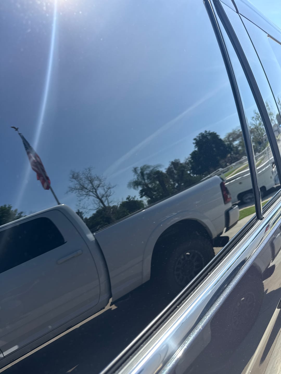 Customer photo review of Sun Shine Gallon