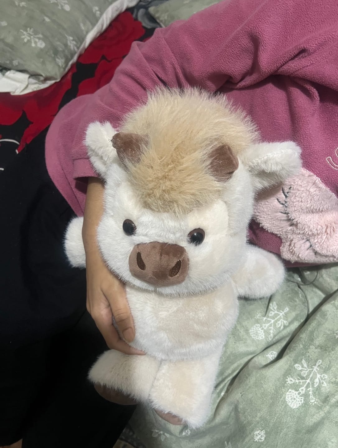Customer photo review of Snuggy™ Running Plushie