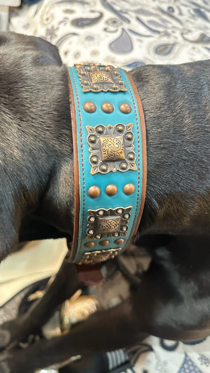 Customer photo review of Pure Leather Luxury Metal Rivet Dog Collar and Leash Set For Medium Large Dogs
