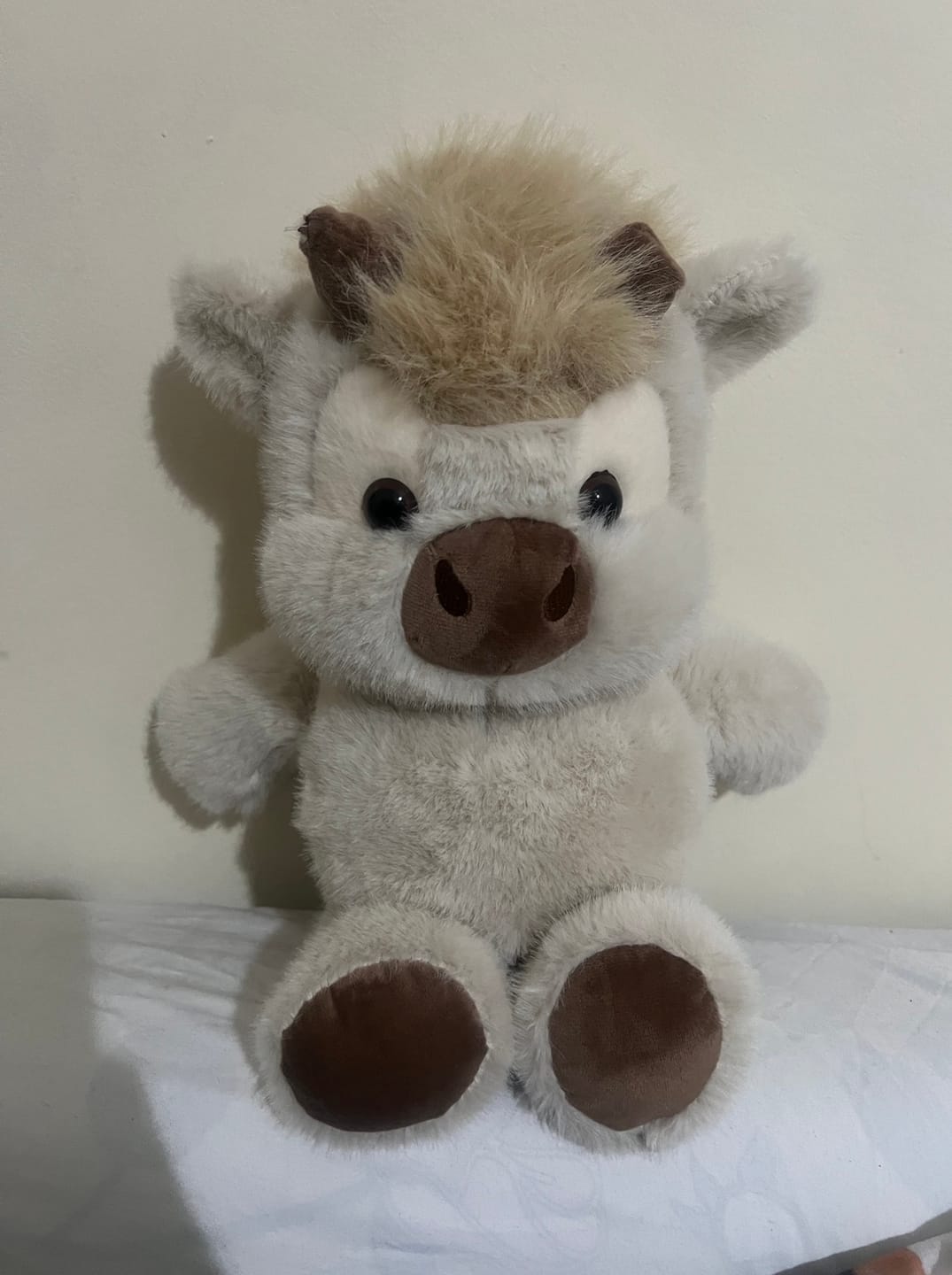 Customer photo review of Snuggy™ Running Plushie