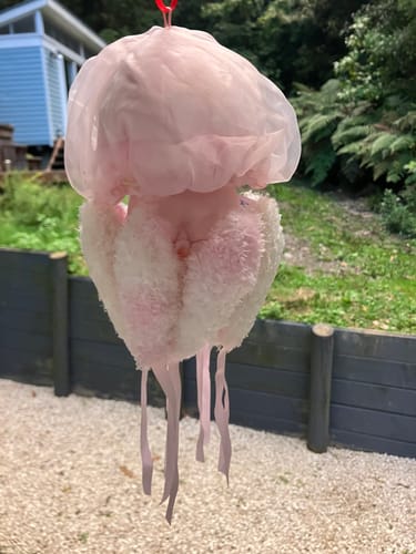 Customer photo review of River Jellyfish Soft Stuffed Plush Toy