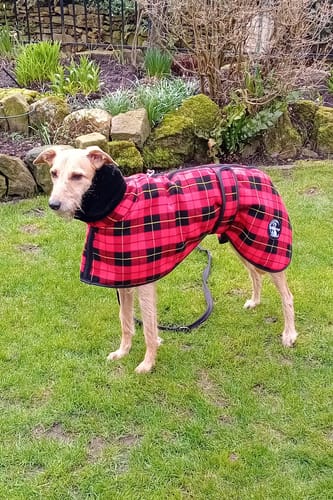 Customer photo review of Lumberjack - Sighthound Fleece Coat with Faux Fur Lining