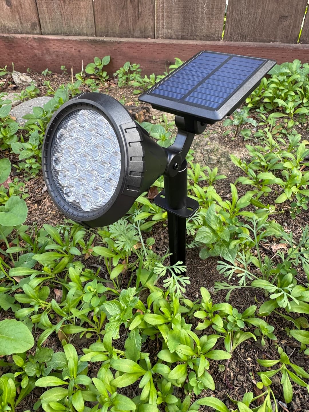 Customer photo review of Solar Gartenstrahler LED Weiß, IP65 & Verstellbar