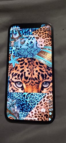 Customer photo review of Iphone 12