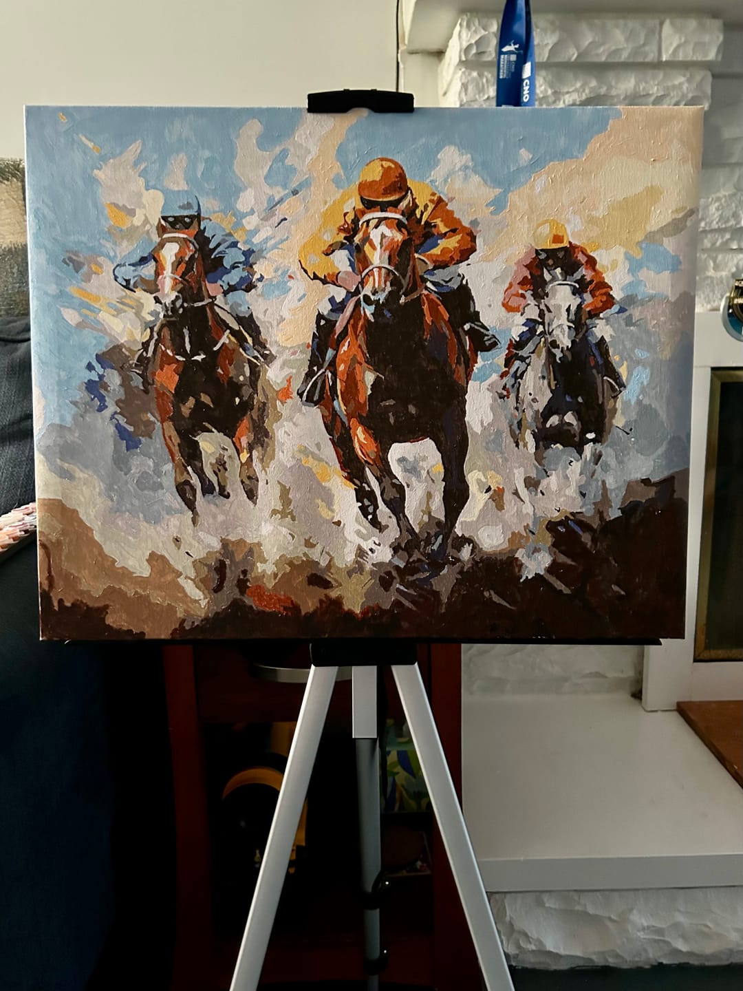 Customer photo review of Vivid Horses Racing