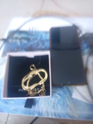 Customer photo review of Gilded Rings Layered Necklace