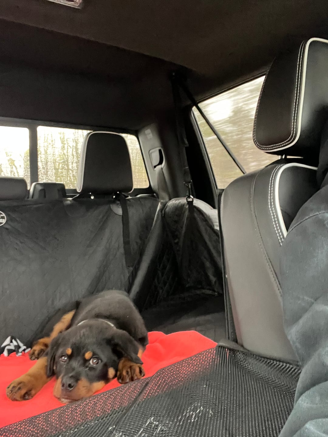 Customer photo review of NEW Waterproof Hard Bottom Car & Truck Seat Foldable Hammock Cover With Storage Pockets, Side Flaps, Headrest Straps, Seat Anchors, & Mesh Window (+FREE SAFETY BELT!)