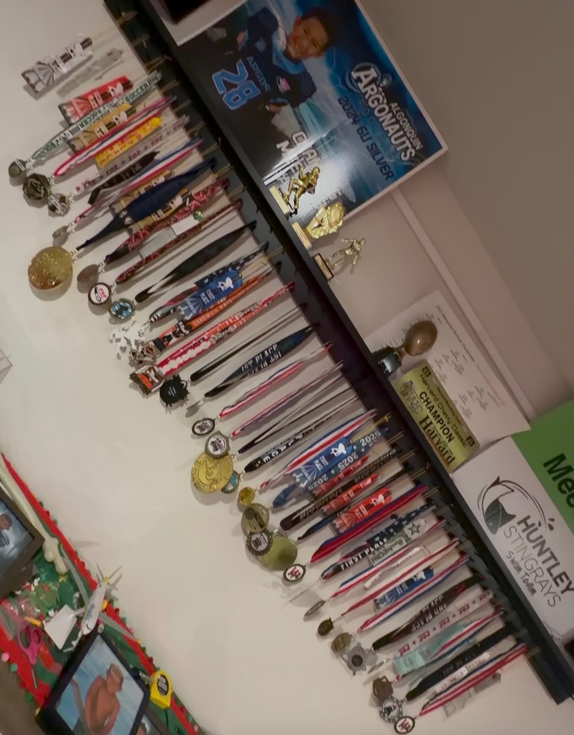 Customer photo review of 4ft Medal Awards Rack Premier Trophy Shelf- Trophy, Plaque and Medal Display