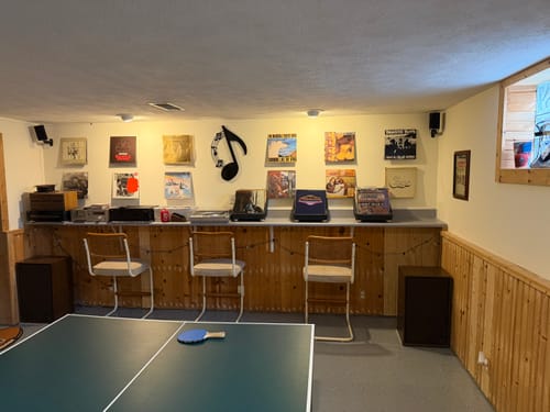 Customer photo review of Record Roots Tabletop Storage System