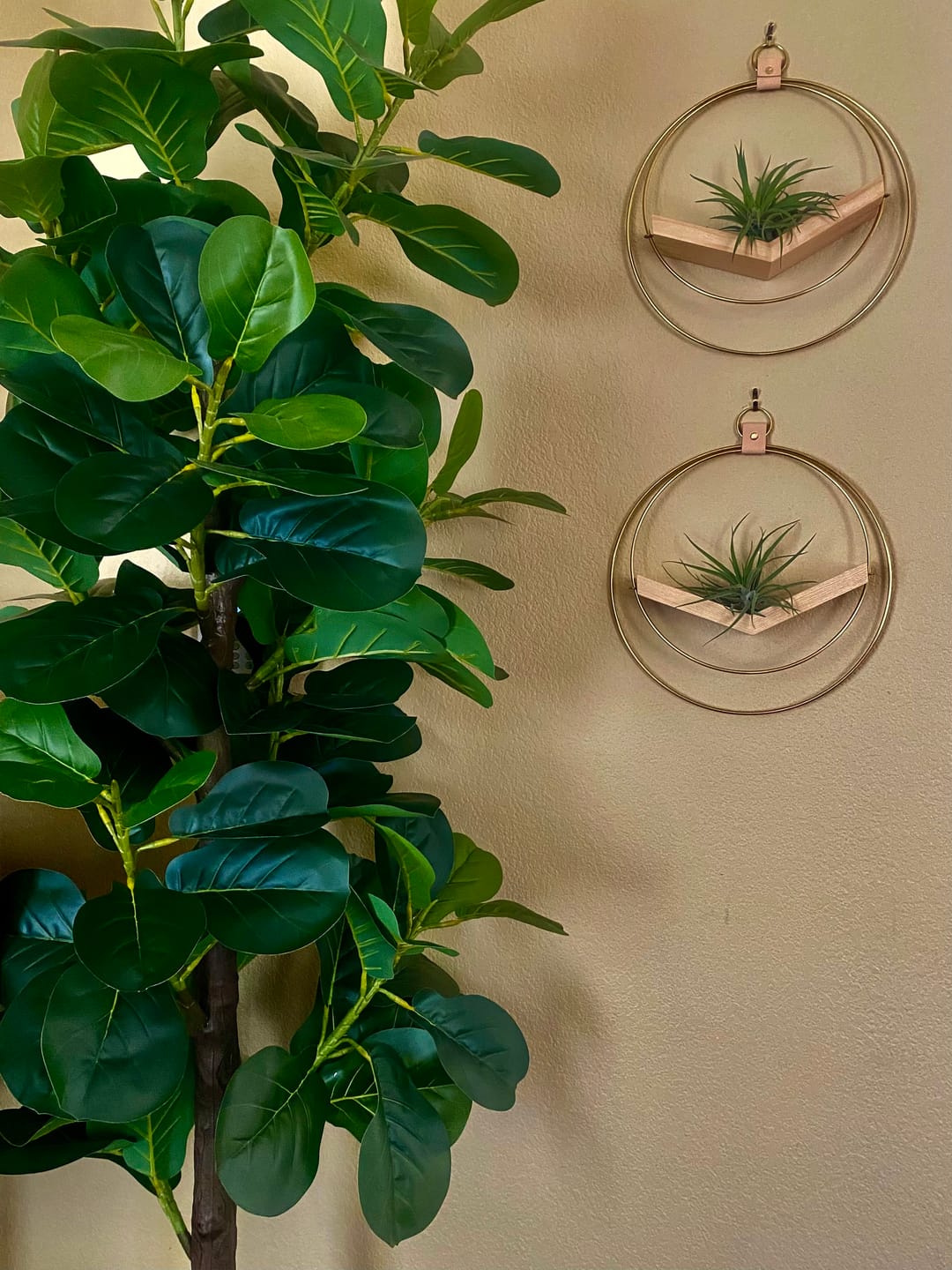 Customer photo review of Air Plant V-Hanger