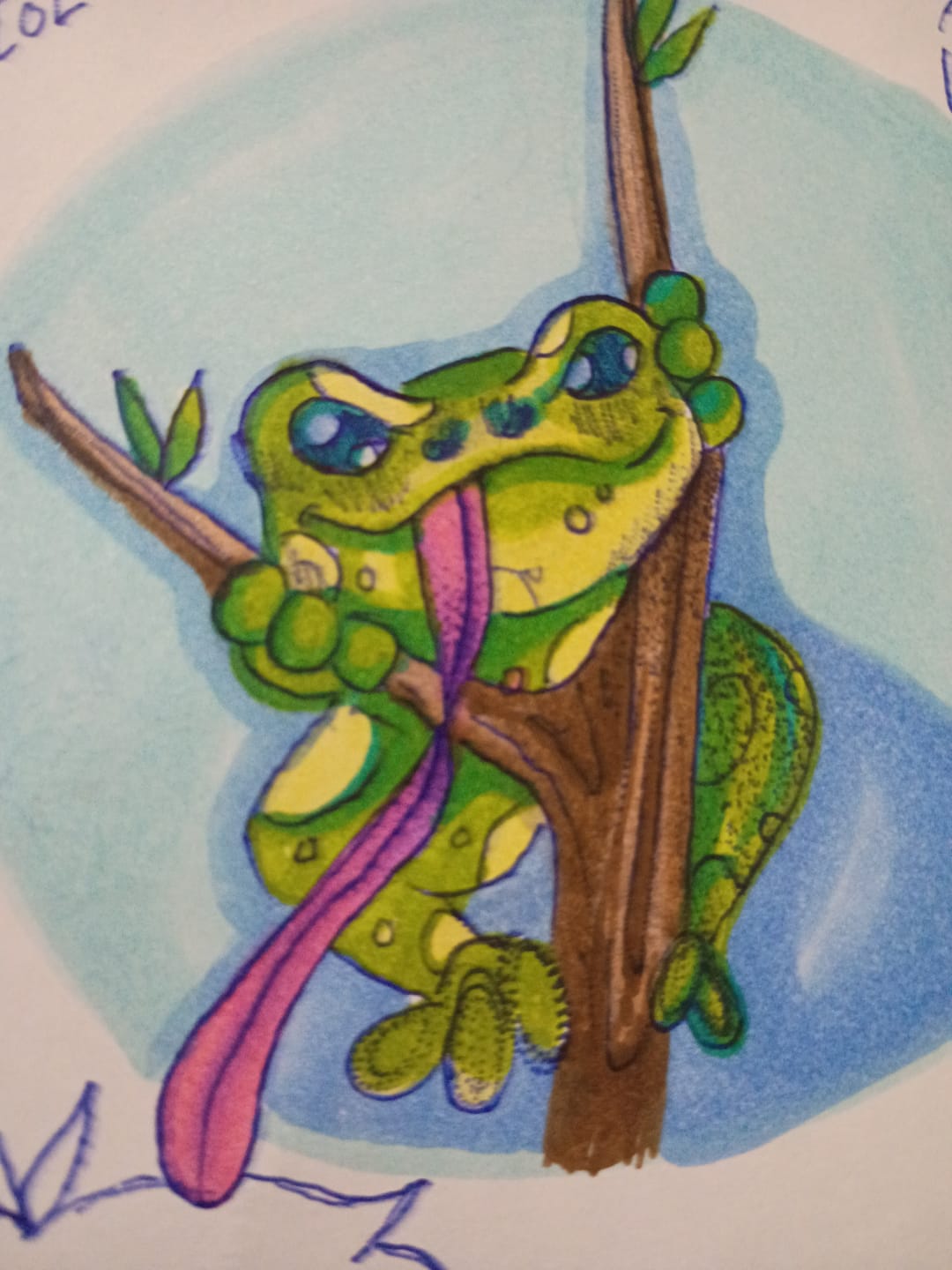 Customer photo review of Ohuhu Honolulu 72 Colors Dual Tips Alcohol Art Markers