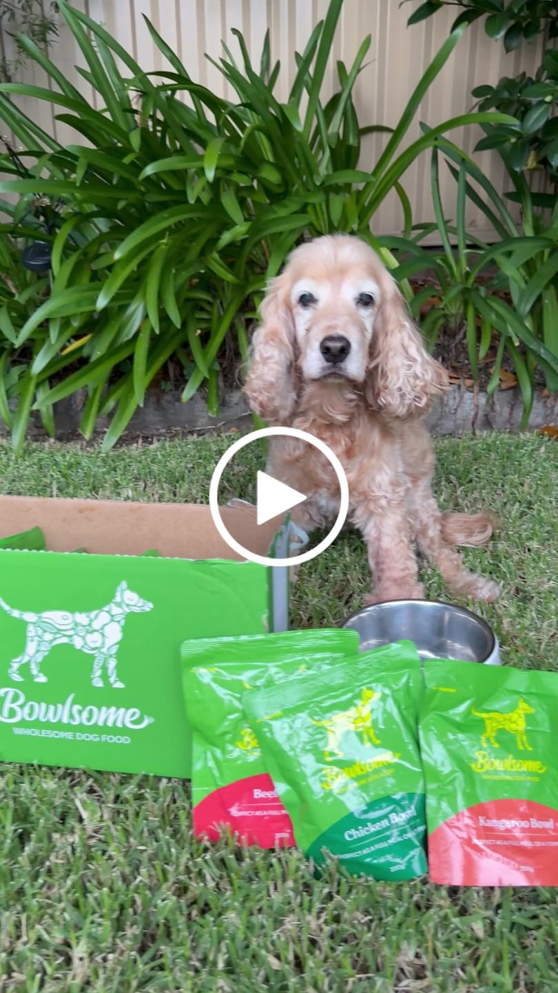 Customer video review of Bowls - Variety Box