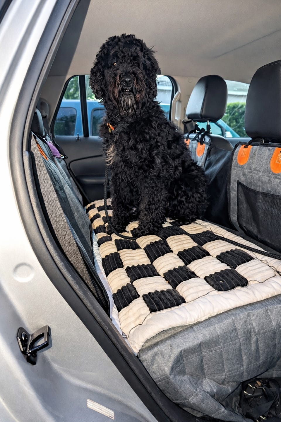 Customer photo review of CozyRider™ 2.0