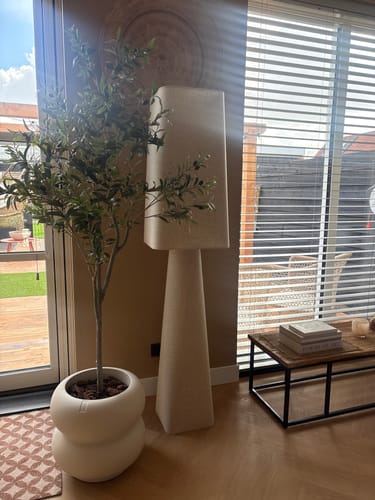 Recensent toont de witte Elho Amber Roll pot met een olijfboom erin, geplaatst in een woonkamer.