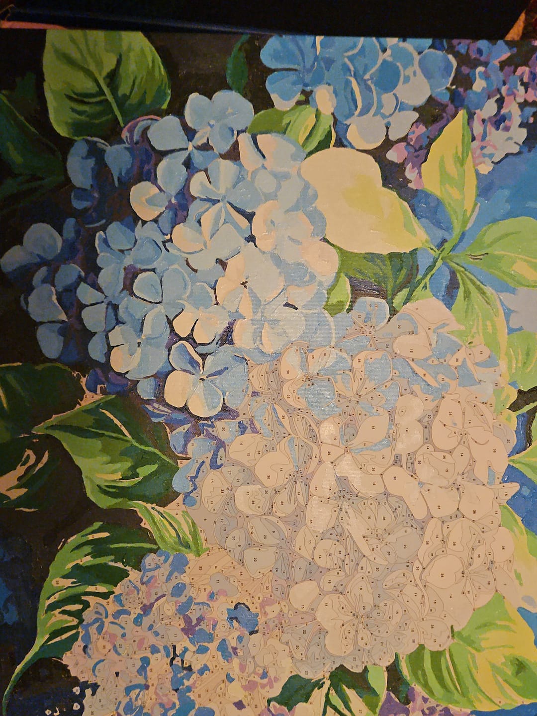 Customer photo review of Blue Hydrangea