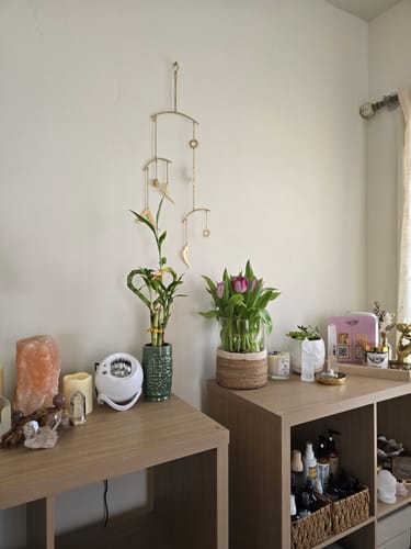 Customer photo review of Sun Salutation Yoga Wall Hanging