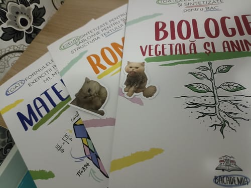 Recenzie cu fotografie de la un client despre Pachet Bacalaureat (Română + Matematică + Biologie Vegetală și Animală clasele IX-X) Bacademia