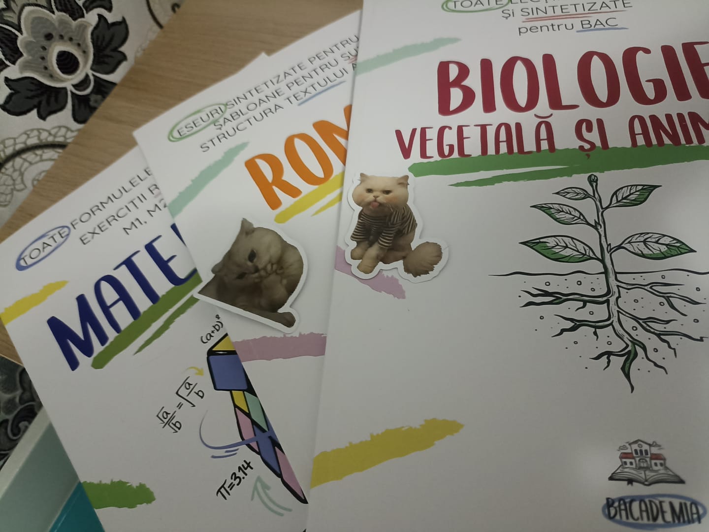 Customer photo review of Pachet Bacalaureat (Română + Matematică + Biologie Vegetală și Animală clasele IX-X) Bacademia