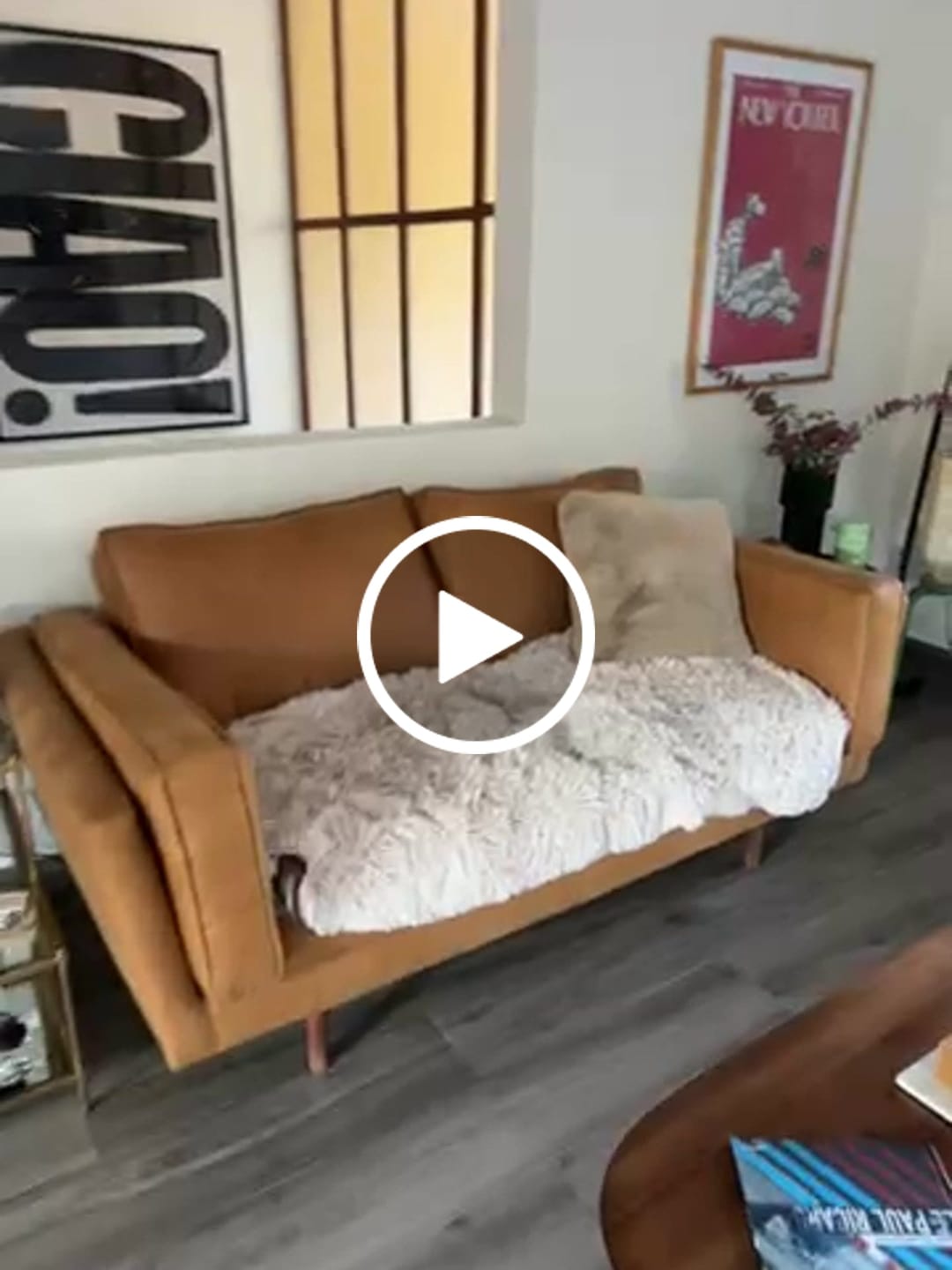 Customer video review of Cobija Impermeable para Perros