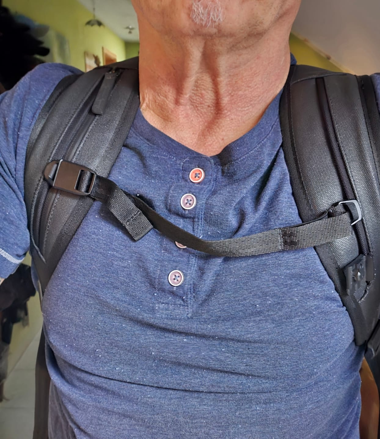 Customer photo review of Sternum Strap