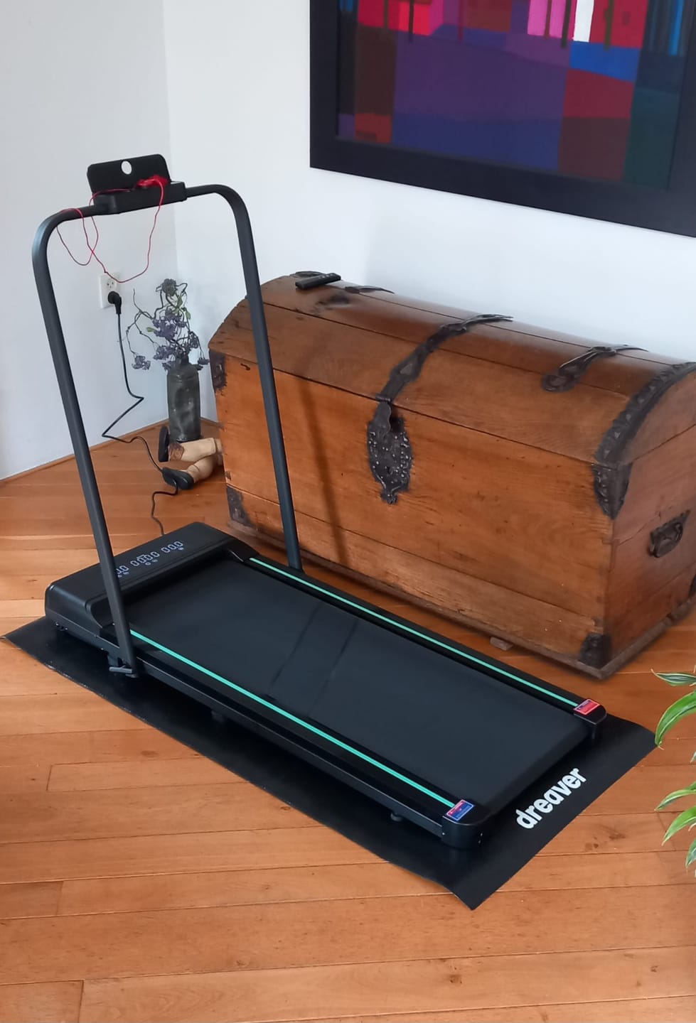 Customer photo review of Dreaver S340 Loopband